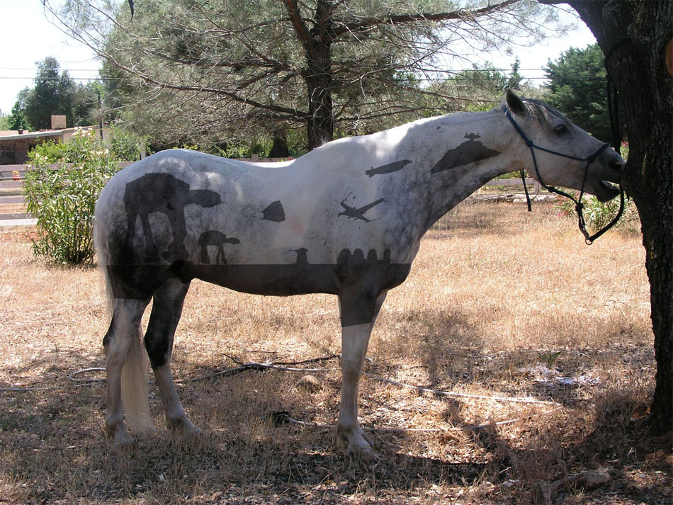 horse body clip art - photo #50
